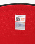 Aztec Skull 9FIFTY Snapback Cap – Mexico Inspired Edition