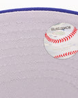 Detroit Tigers Chrome/Dark Royal 59FIFTY Fitted Hat